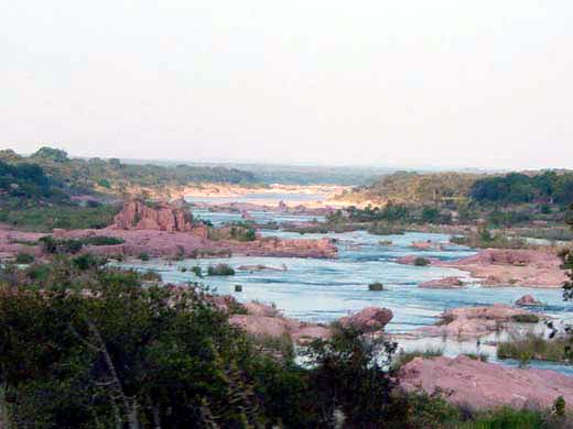 DSC09004