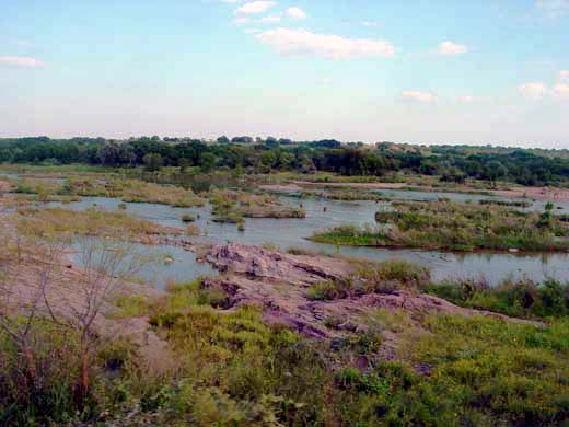 DSC09005
